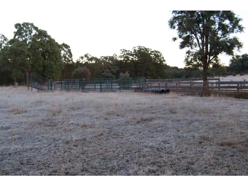 Putty NSW 2330