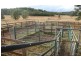 Putty NSW 2330