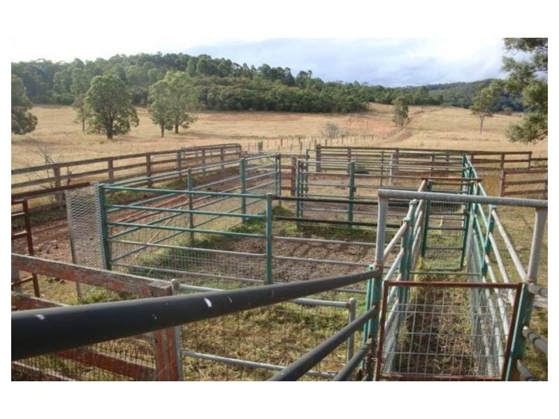 Putty NSW 2330