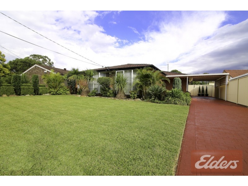 144 Rausch Street, Toongabbie NSW 2146
