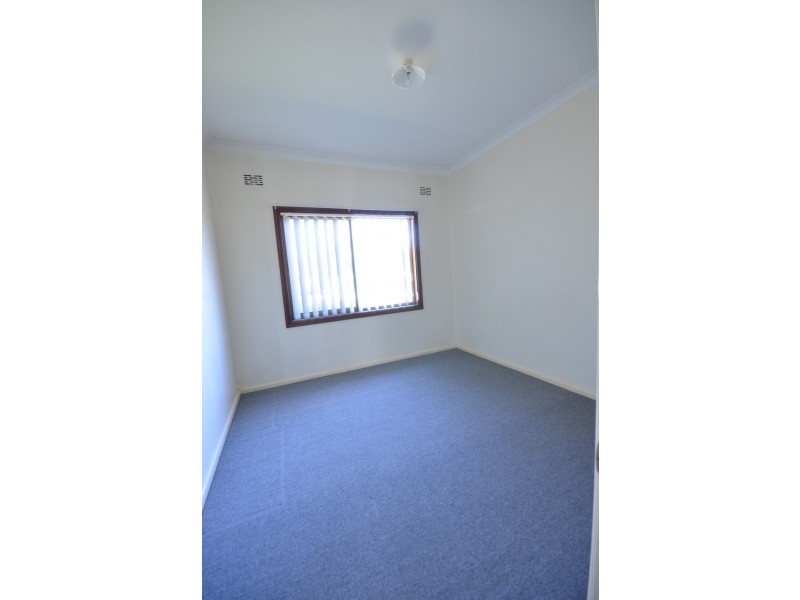 17 Peachtree Avenue, Constitution Hill NSW 2145