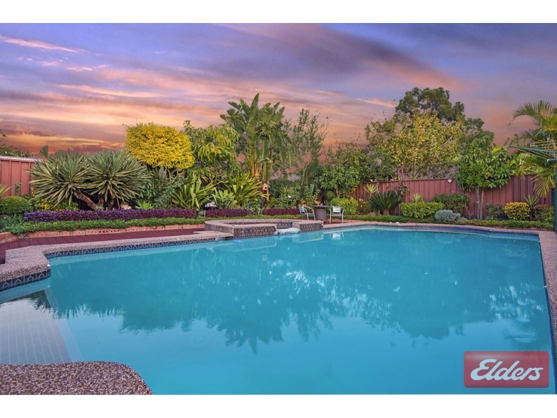 17 Tucks Road, Toongabbie NSW 2146