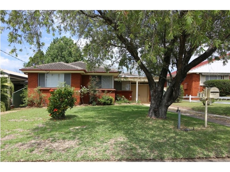 25 Andrews Avenue, Toongabbie NSW 2146