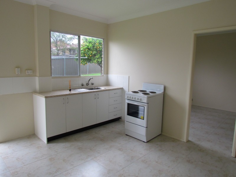 17 Valparaiso Avenue, Toongabbie NSW 2146