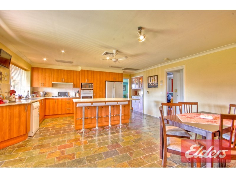 61 Hurley Street, Toongabbie NSW 2146