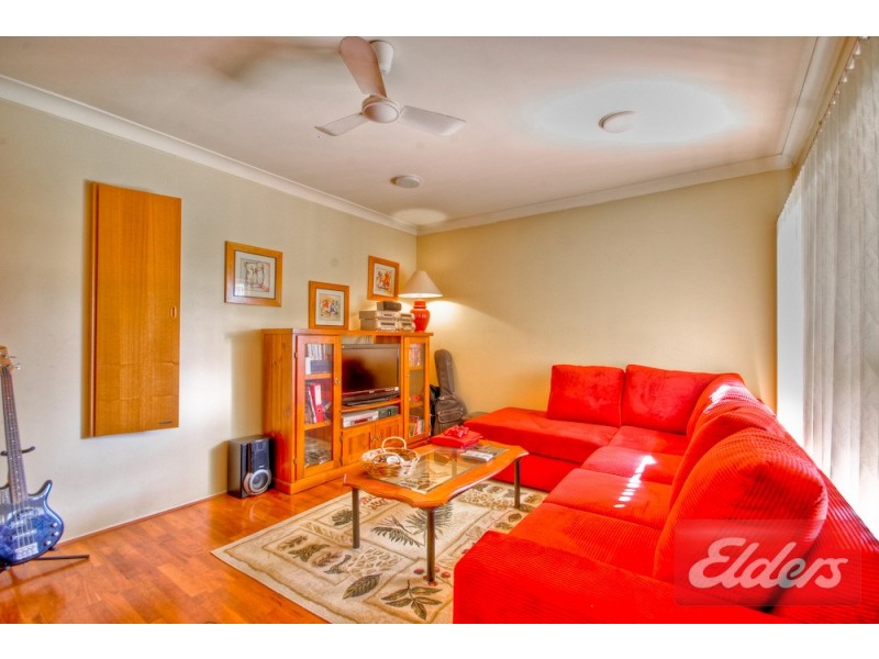 61 Hurley Street, Toongabbie NSW 2146