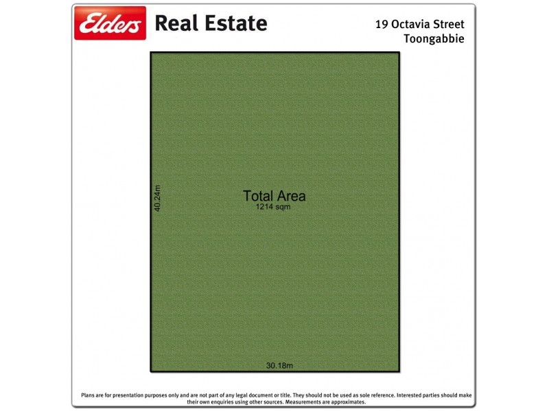 19 Octavia Street, Toongabbie NSW 2146