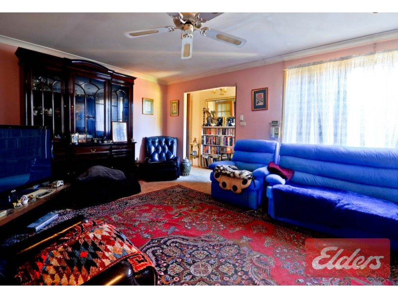 66 Greenmeadows Crescent, Toongabbie NSW 2146