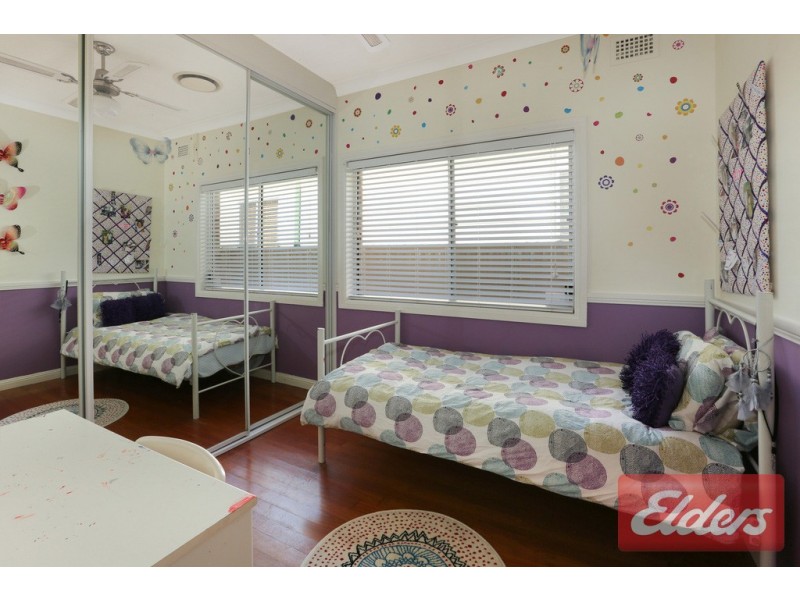 17 Picasso Crescent, Old Toongabbie NSW 2146