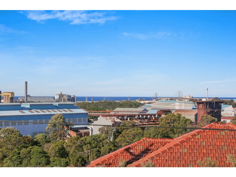 64 Lake Avenue, Cringila NSW 2502