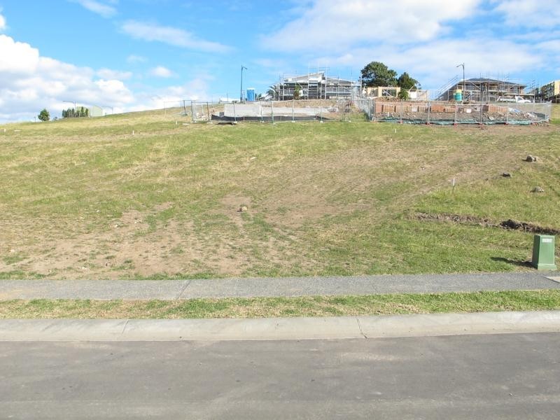 55 Redgum Forest Way, Figtree NSW 2525