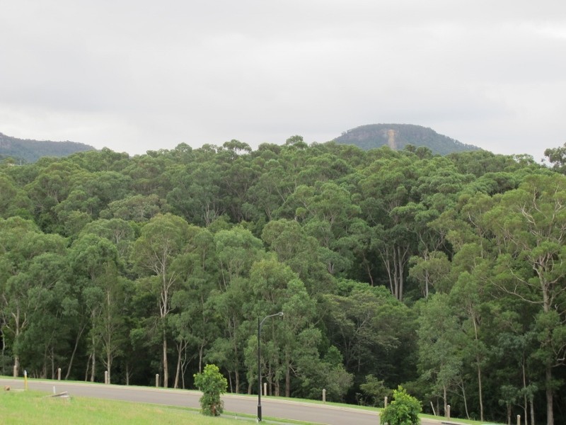 8 Gahnia Avenue, Figtree NSW 2525