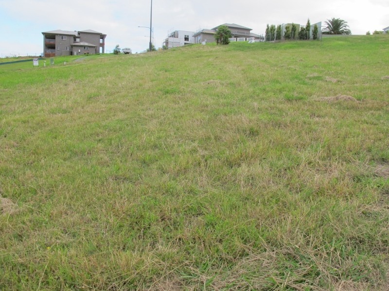 8 Gahnia Avenue, Figtree NSW 2525