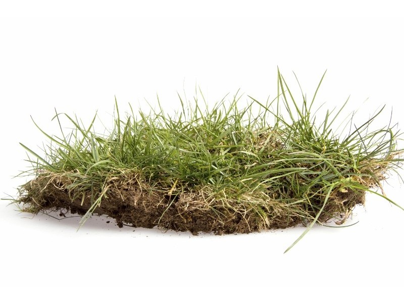 130c Farmborough Road, Farmborough Heights NSW 2526