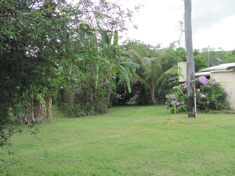 379 DARTS CREEK ROAD, Darts Creek QLD 4695