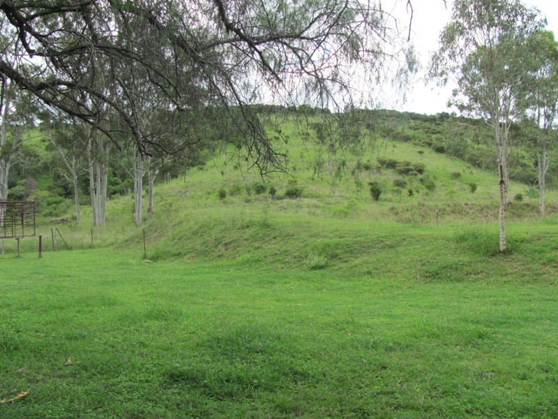 379 DARTS CREEK ROAD, Darts Creek QLD 4695