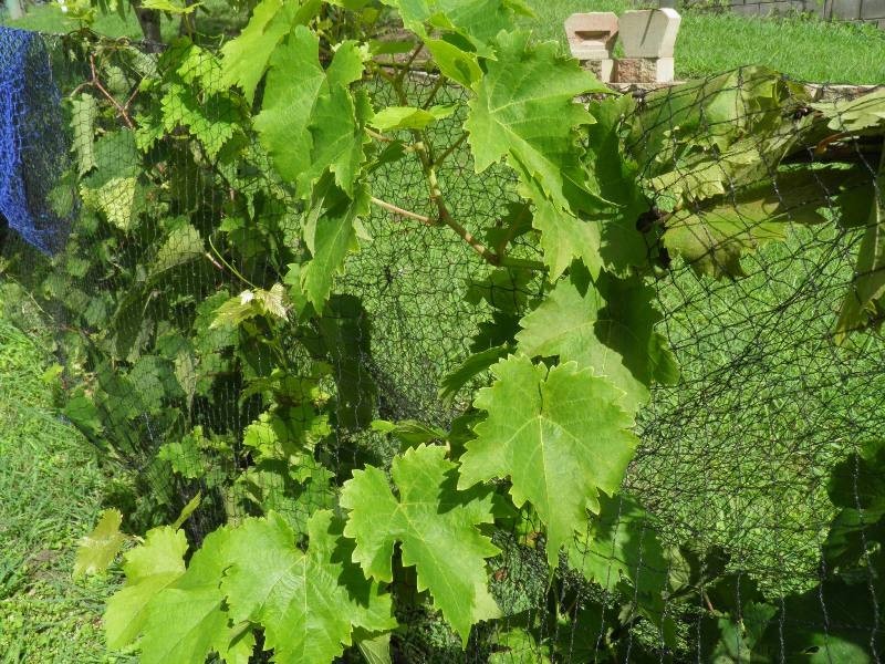 17 Milton St,, Boyne Valley QLD 4680