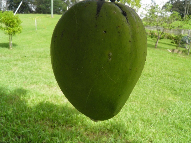 17 Milton St,, Boyne Valley QLD 4680