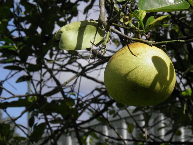 17 Milton St,, Boyne Valley QLD 4680