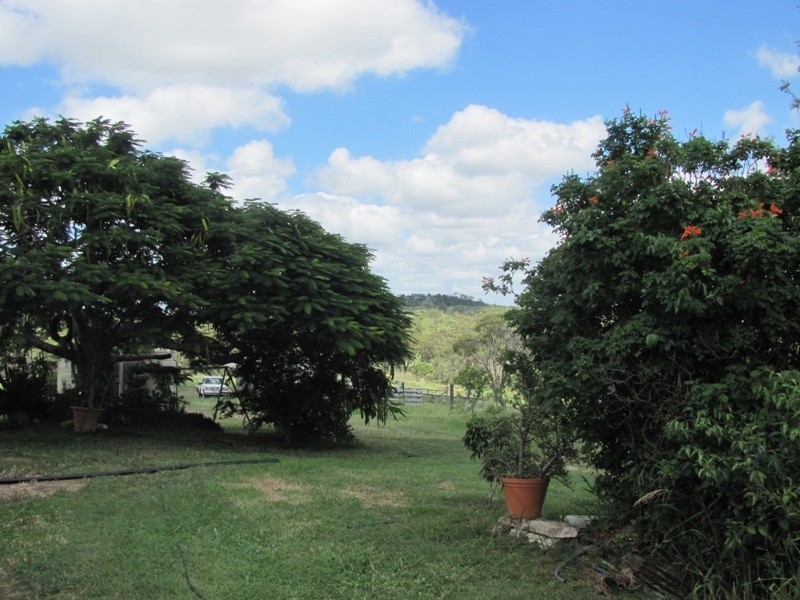 610 DARTS CREEK ROAD, Darts Creek QLD 4695