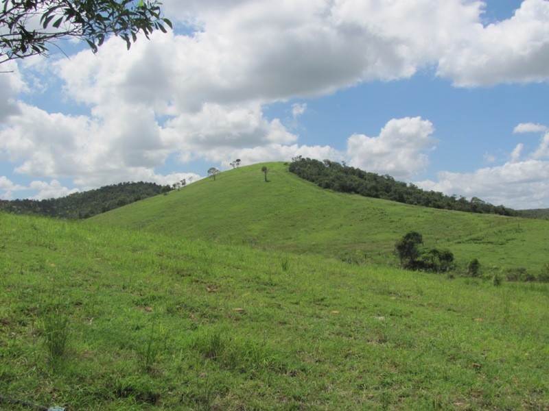 610 DARTS CREEK ROAD, Darts Creek QLD 4695