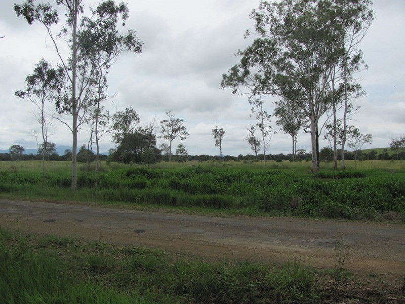 550 MT LARCOM-BRACEWELL RD, Bracewell QLD 4695