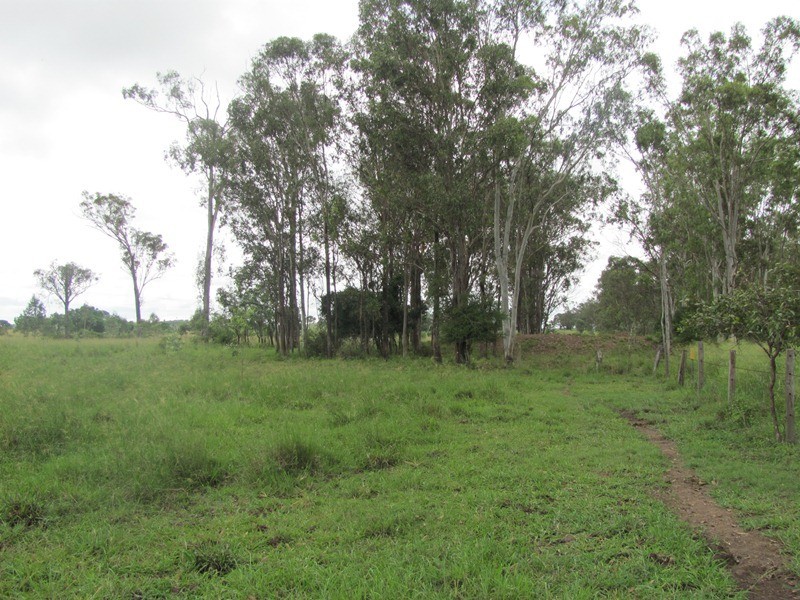 550 MT LARCOM-BRACEWELL RD, Bracewell QLD 4695