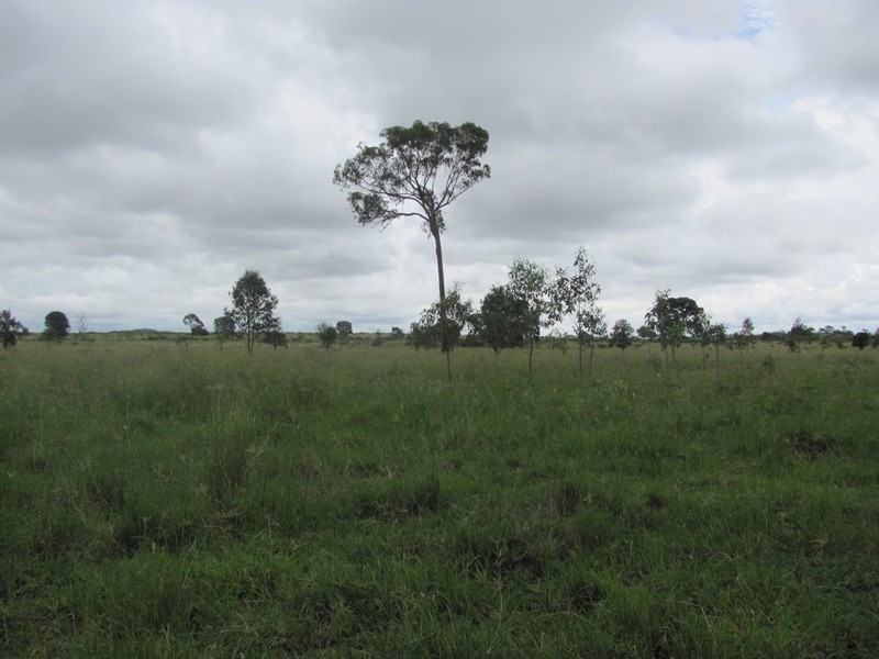 550 MT LARCOM-BRACEWELL RD, Bracewell QLD 4695