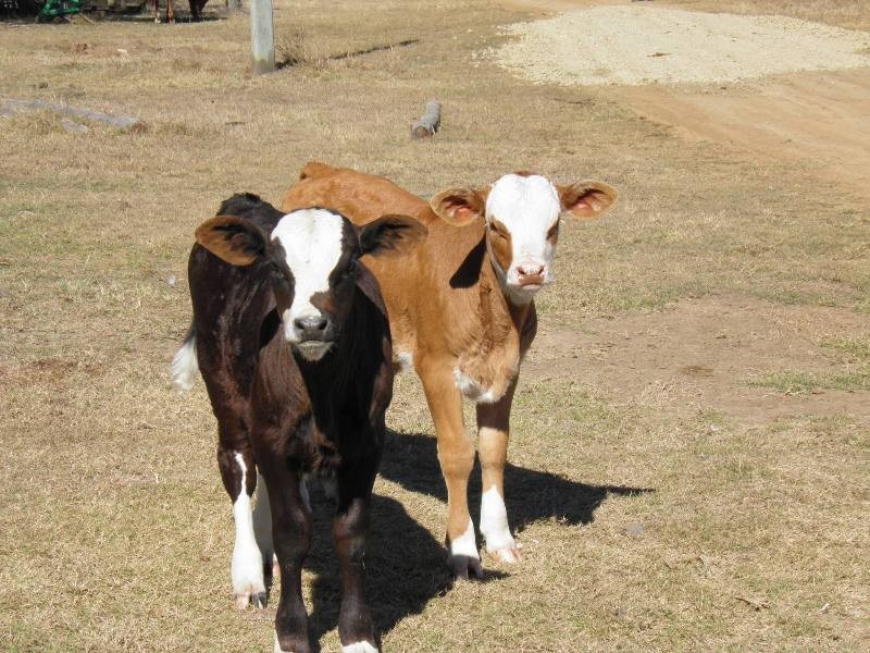 L 10, 374 Dalga Road, Boyne Valley QLD 4680