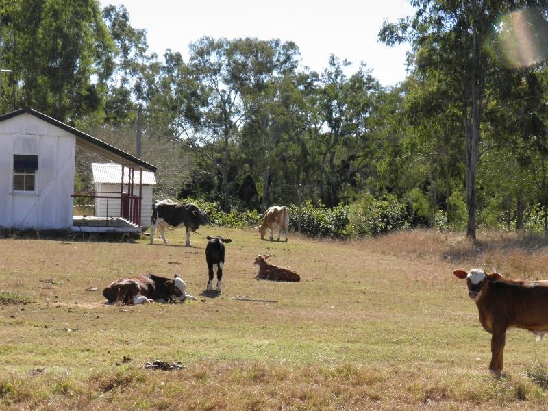 L 10, 374 Dalga Road, Boyne Valley QLD 4680