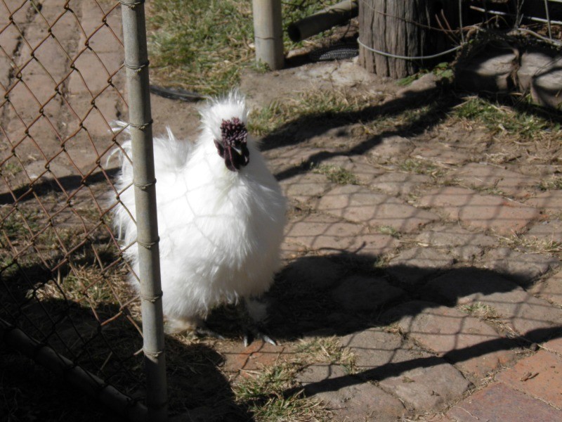 L 10, 374 Dalga Road, Boyne Valley QLD 4680