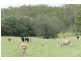 7,610 Dalga Rd, Boyne Valley QLD 4680