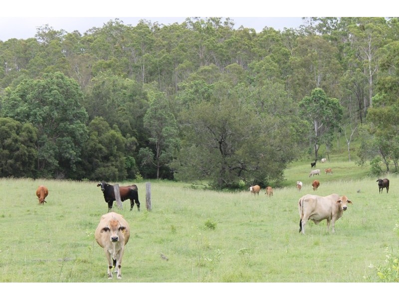 7,610 Dalga Rd, Boyne Valley QLD 4680