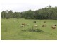 7,610 Dalga Rd, Boyne Valley QLD 4680