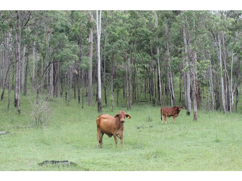 8,524 Dalga Rd Builyan, Boyne Valley QLD 4680
