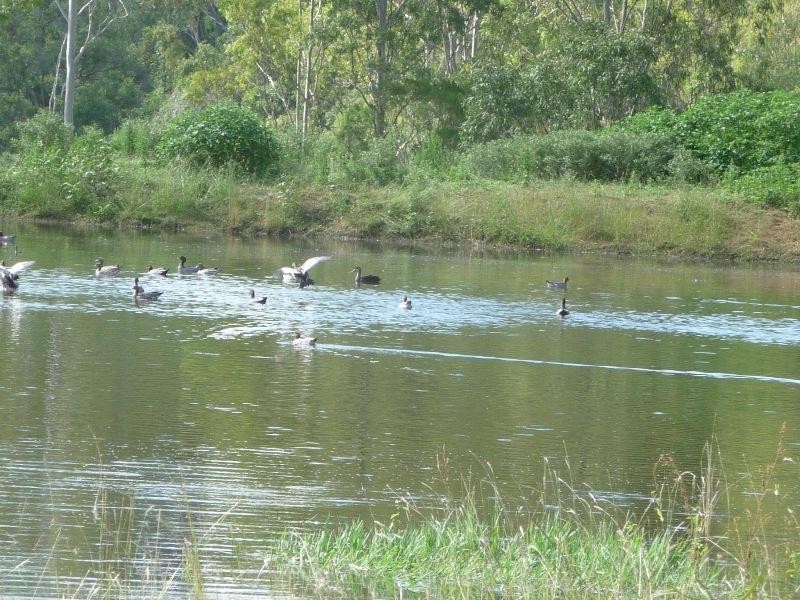 401 784,930 and L9 Dalga Rd,, Boyne Valley QLD 4680