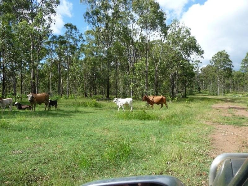 401 784,930 and L9 Dalga Rd,, Boyne Valley QLD 4680