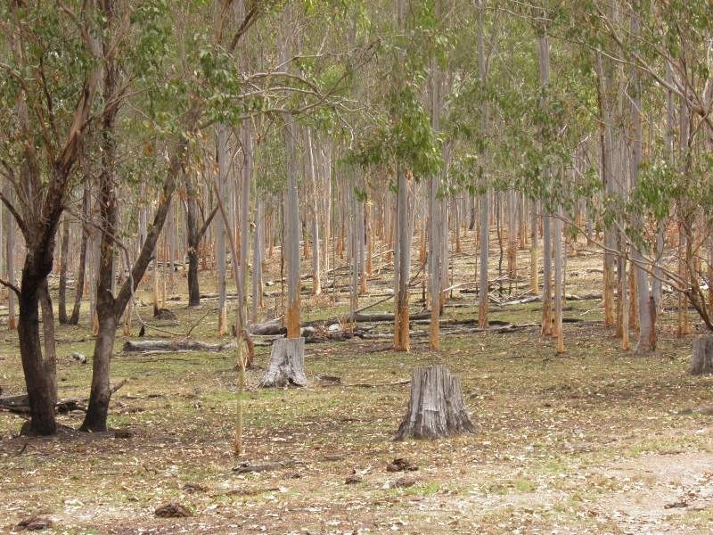 401 784,930 and L9 Dalga Rd,, Boyne Valley QLD 4680