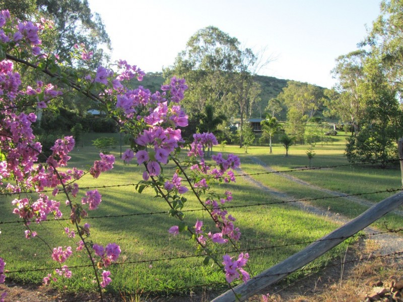 359 Darts Creek Road, Darts Creek QLD 4695