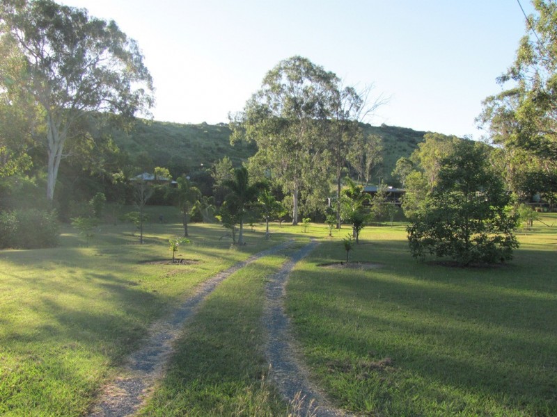 359 Darts Creek Road, Darts Creek QLD 4695
