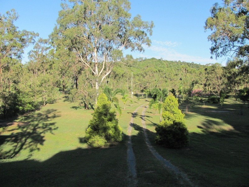 359 Darts Creek Road, Darts Creek QLD 4695