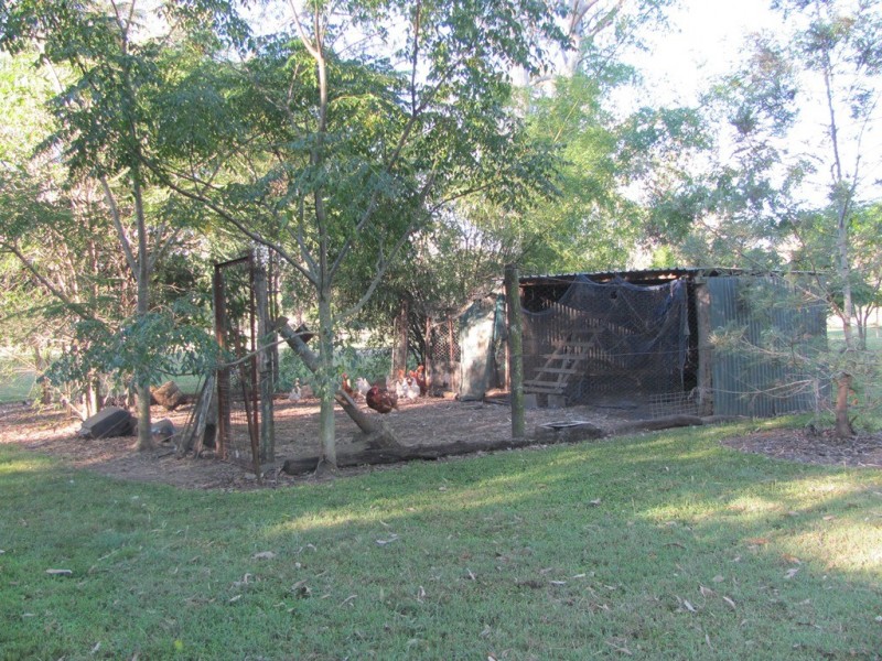 359 Darts Creek Road, Darts Creek QLD 4695