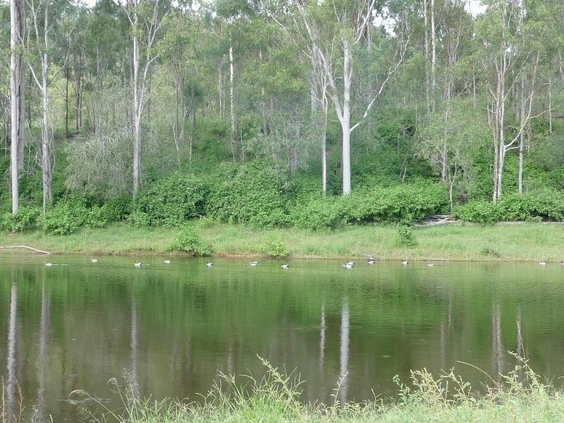 Lot 5/779 Dalga Road, Builyan QLD 4680