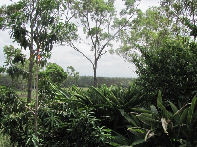 227 Gentle Annie Road,Ambrose, Mount Larcom QLD 4695