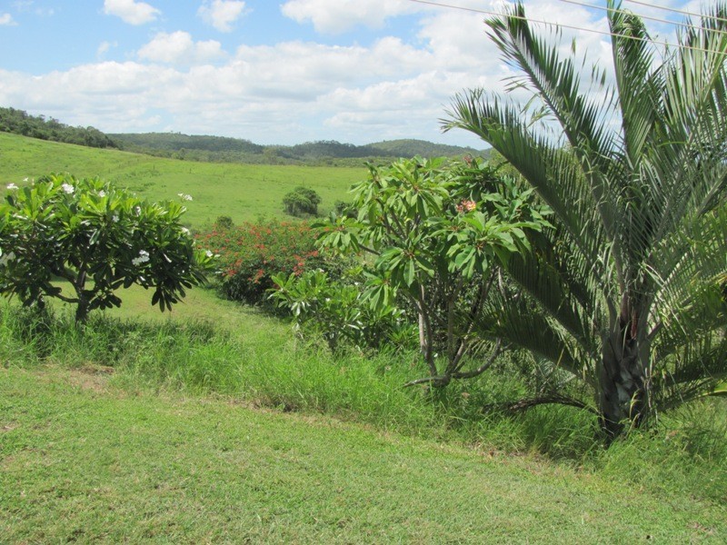 610 DARTS CREEK ROAD, Darts Creek QLD 4695