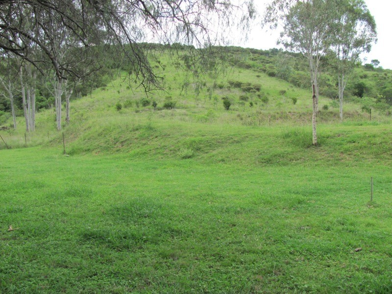 379 DARTS CREEK ROAD, Darts Creek QLD 4695