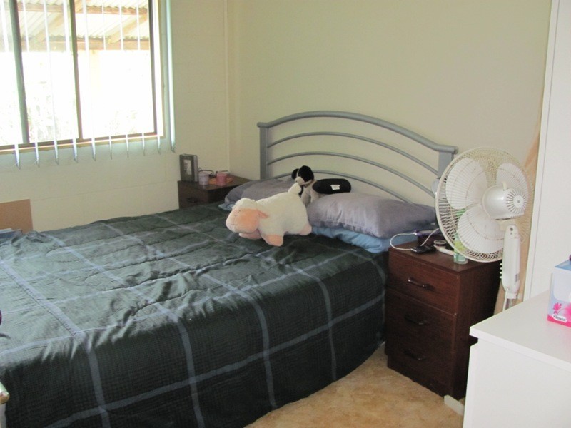 379 DARTS CREEK ROAD, Darts Creek QLD 4695