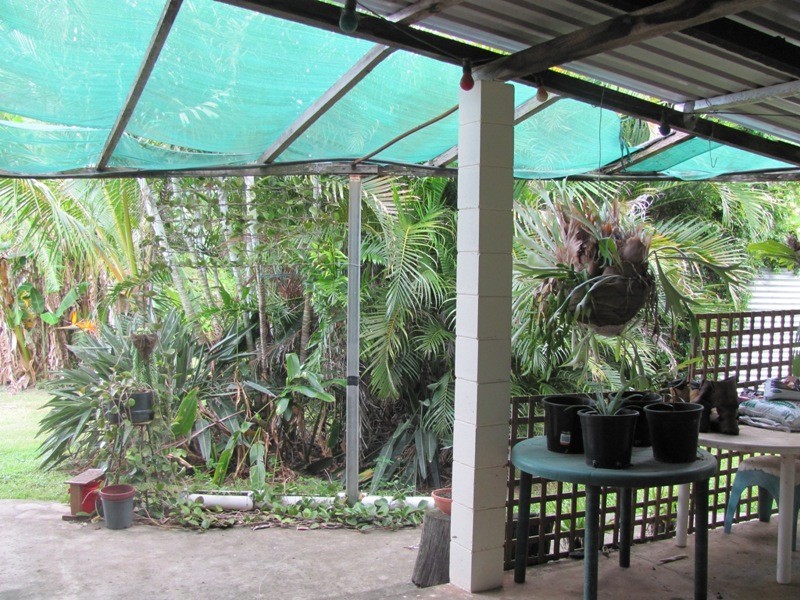 379 DARTS CREEK ROAD, Darts Creek QLD 4695