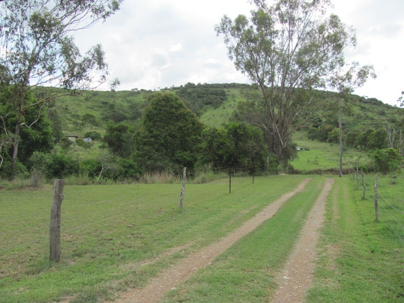 379 DARTS CREEK ROAD, Darts Creek QLD 4695