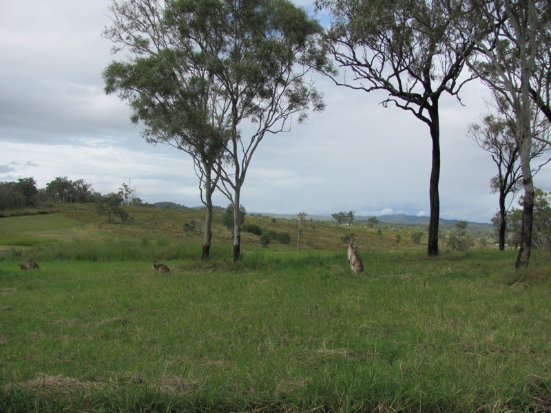 46 WALKER DRIVE, Calliope QLD 4680